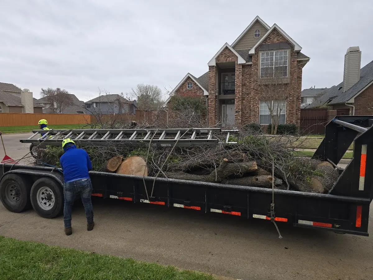 Expert Tree Fertilization with proper safety equipment in Haubstadt